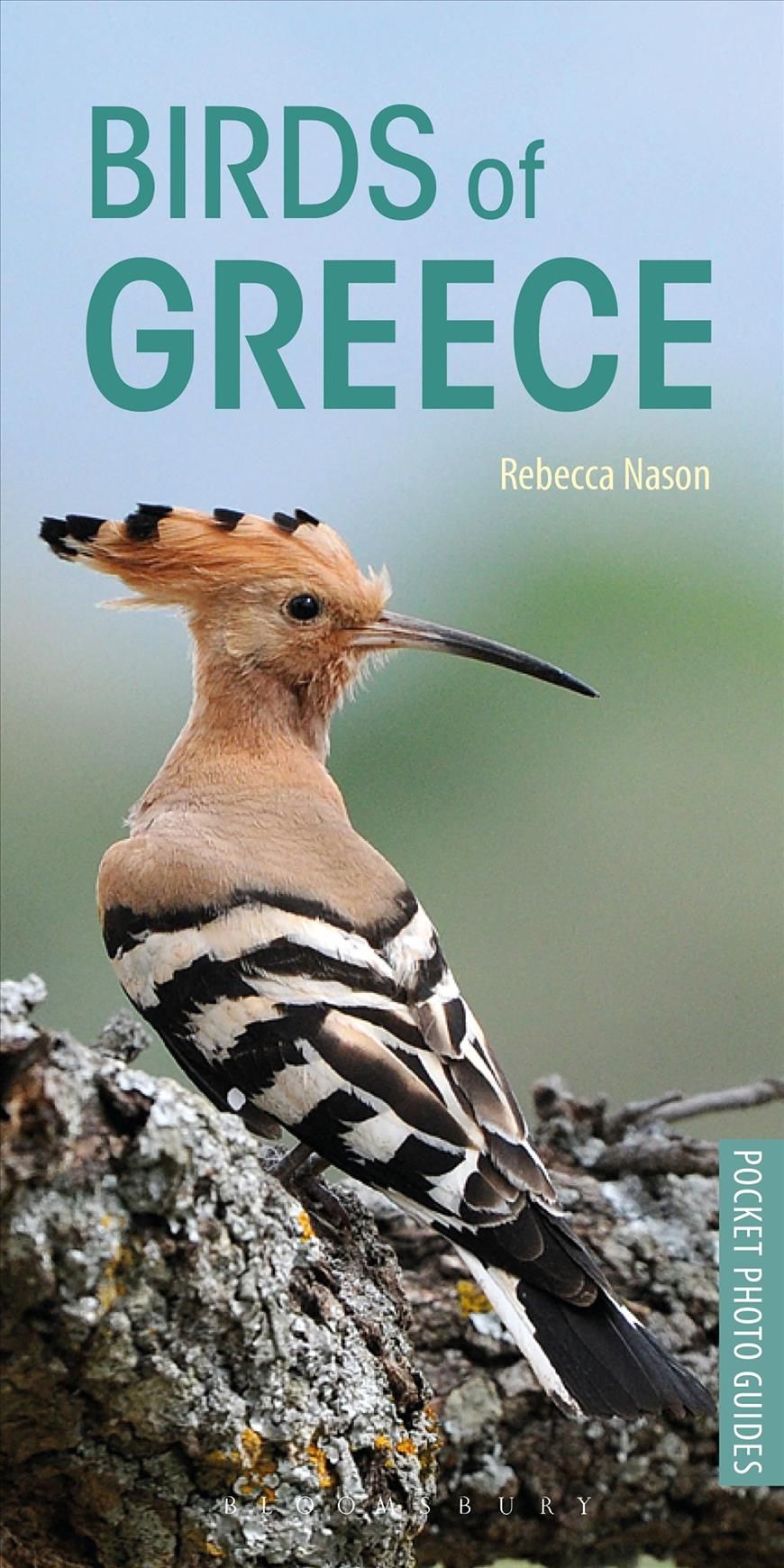 Birds of Greece By Rebecca Nason 9781472949035 (Paperback)