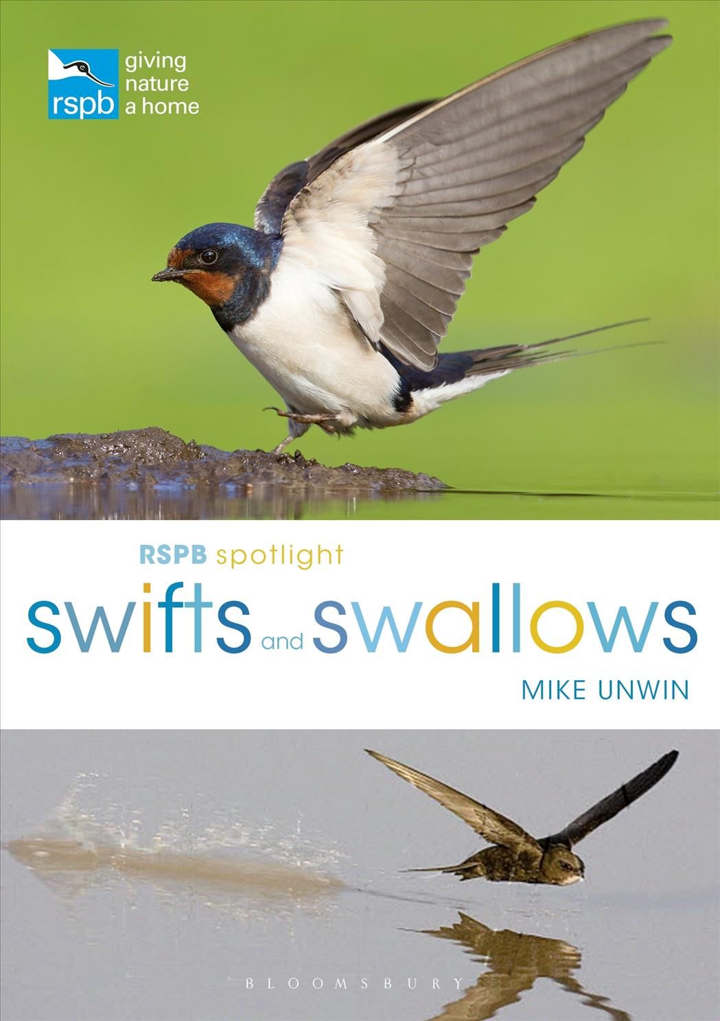 Swifts and Swallows By Mike Unwin 9781472950116 (Paperback)