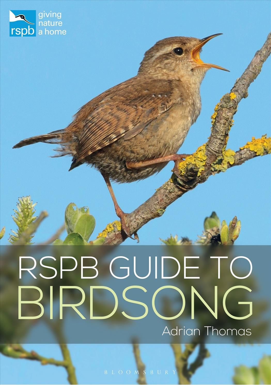 RSPB Guide to Birdsong By Adrian Thomas 9781472955876 (Paperback)