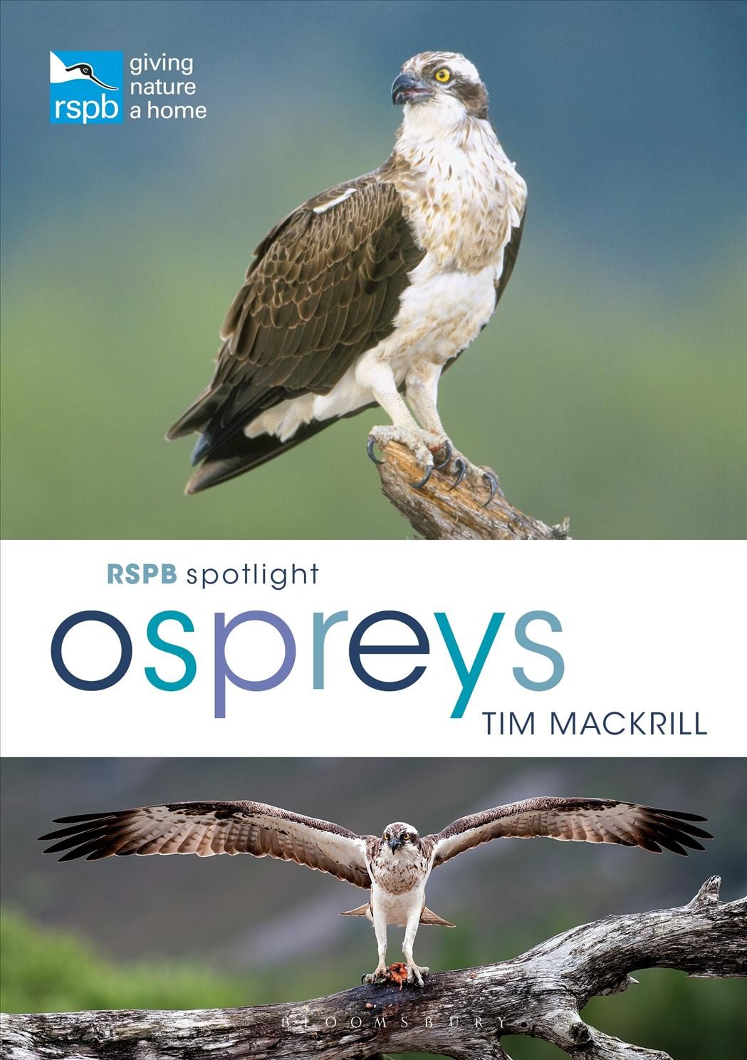 Ospreys 9781472956033 (Paperback)