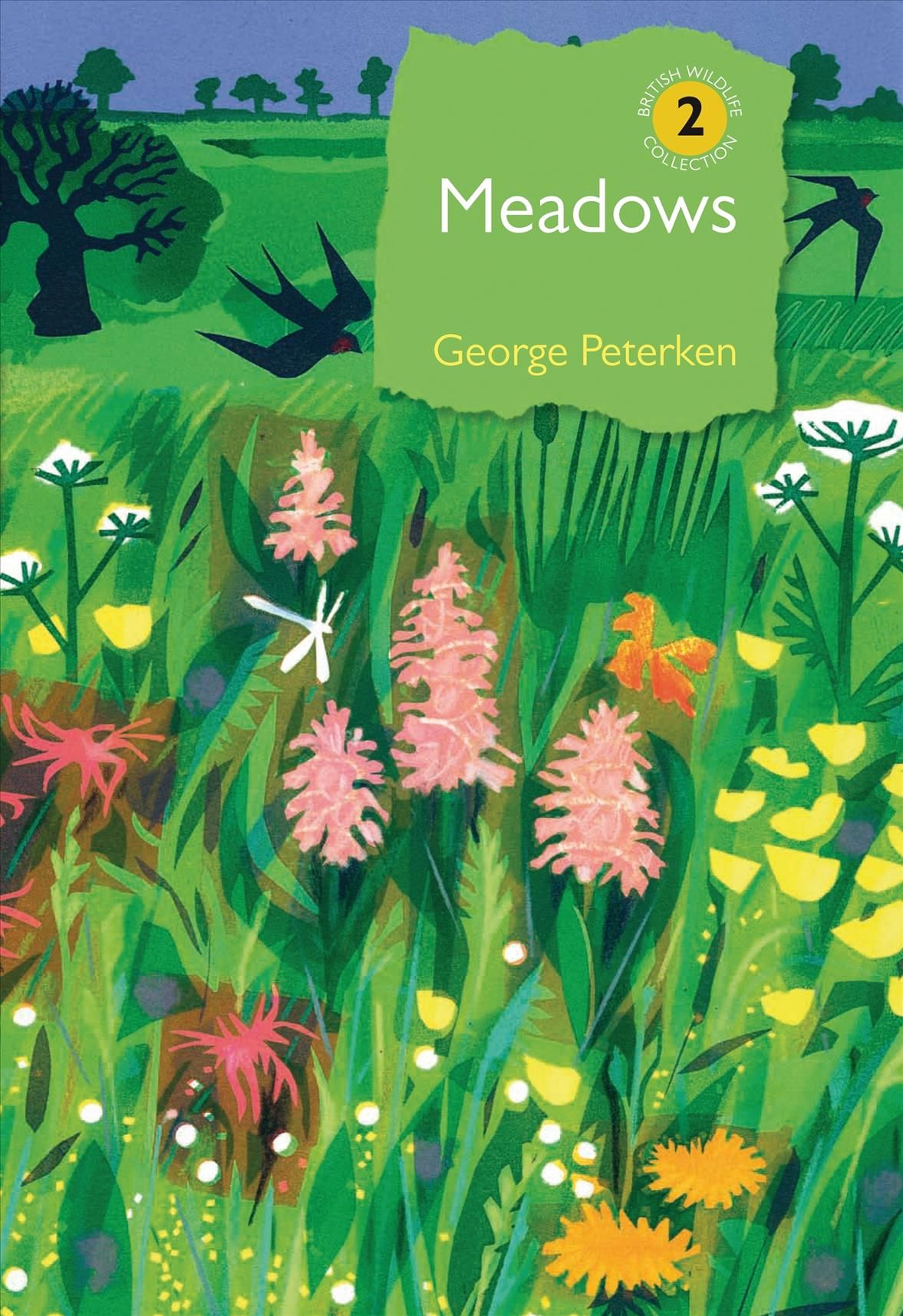 Meadows By G. F. Peterken 9781472960344 (Hardback)