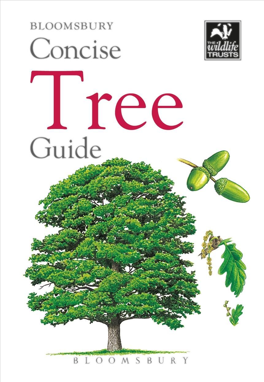 Concise Tree Guide 9781472963796 (Paperback)