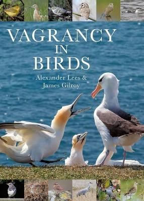 Vagrancy in Birds By Alexander Lees, James Gilroy 9781472964786