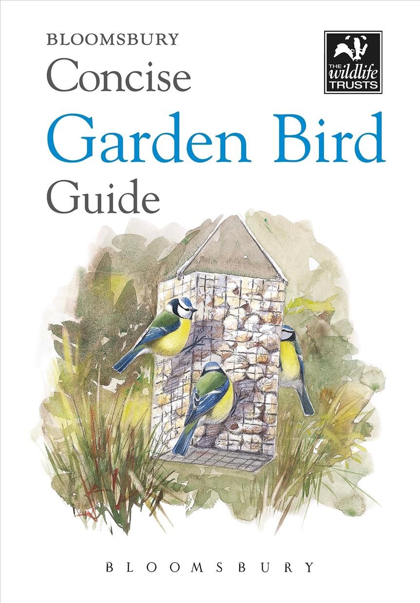 Concise Garden Bird Guide By Bloomsbury 9781472966506 (Paperback)