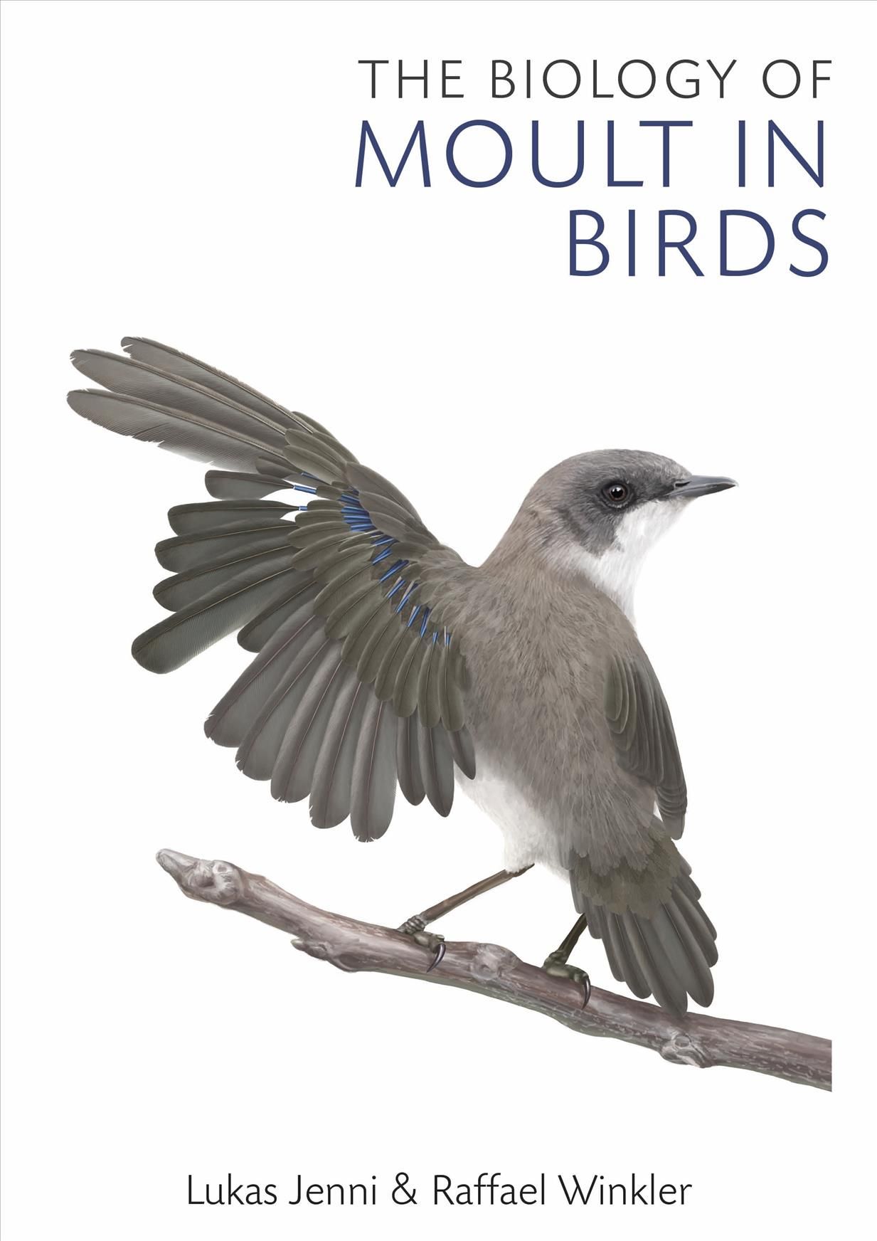 The Biology of Moult in Birds By Lukas Jenni, Raffael Winkler
