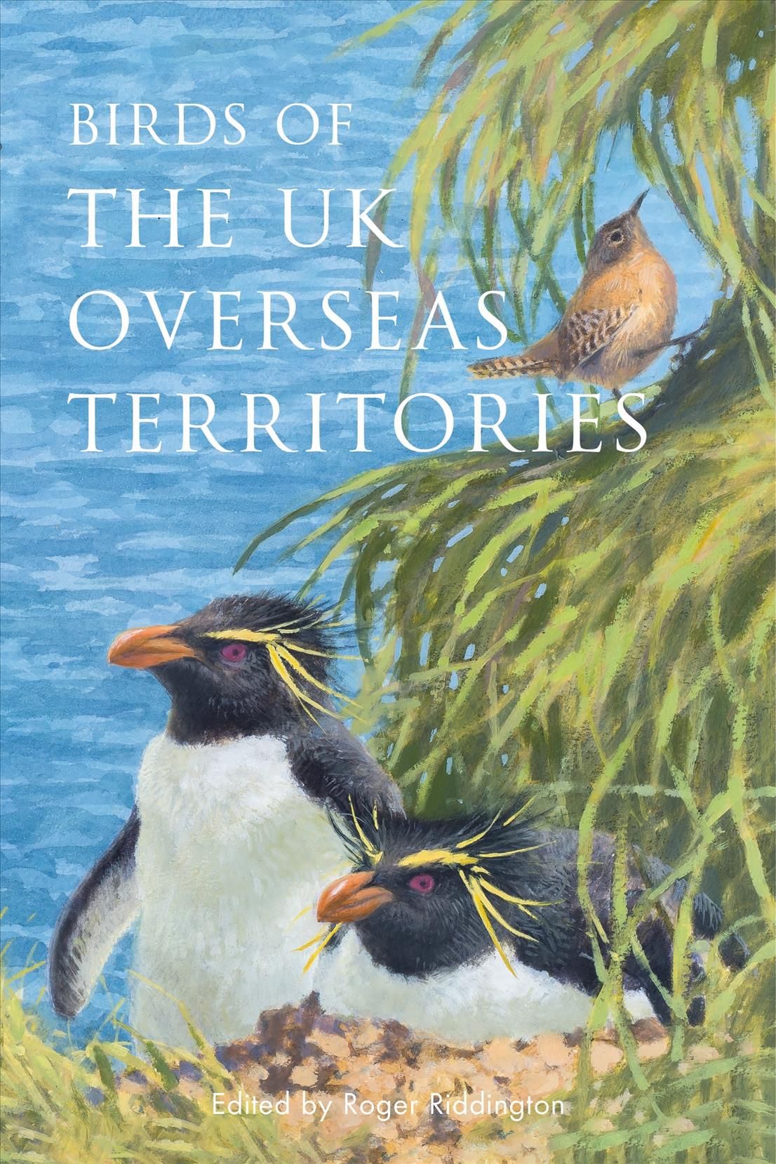 Birds of the UK Overseas Territories By Roger Riddington (editor)