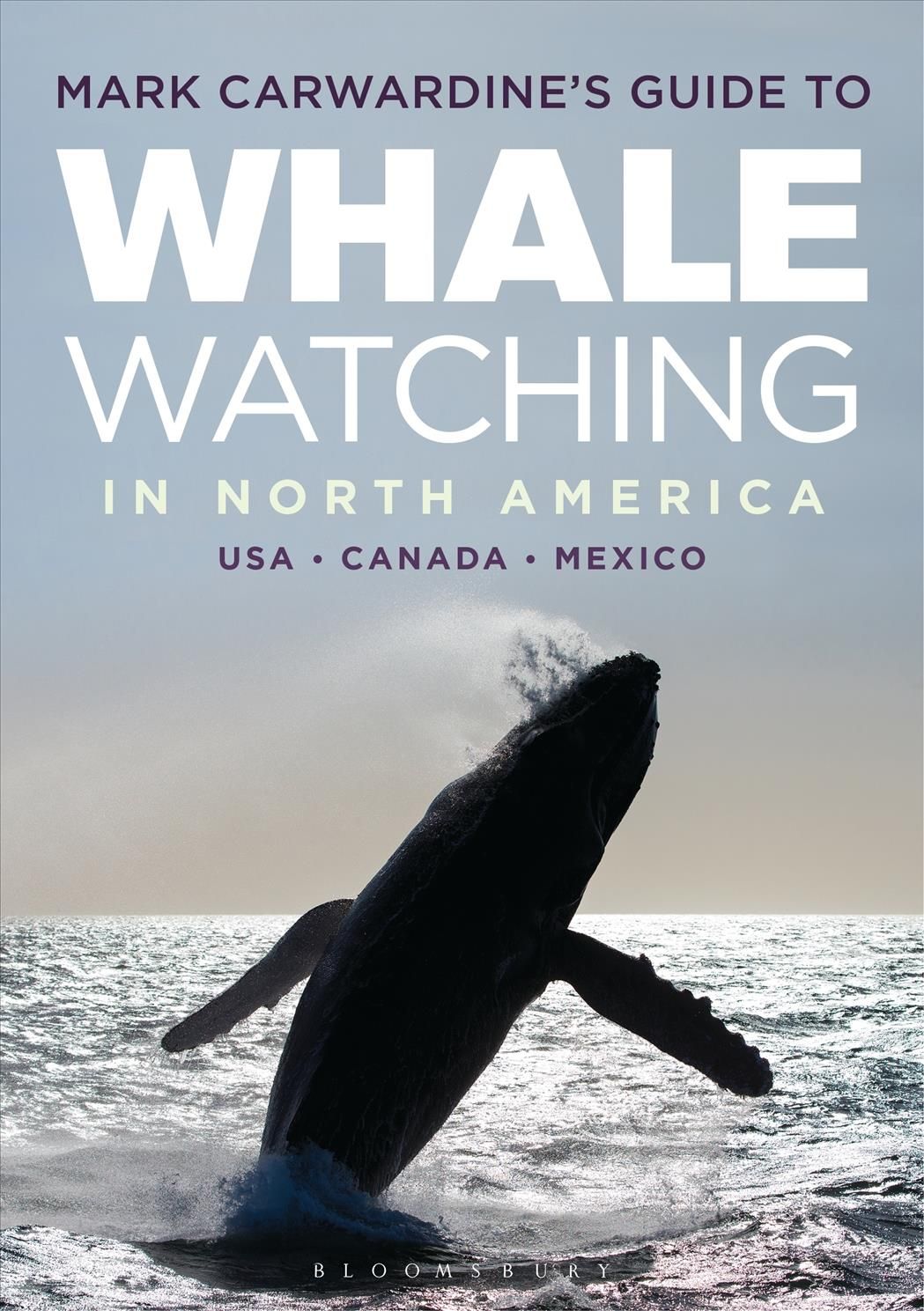 Mark Carwardine's Guide to Whale Watching in North America (Paperback)