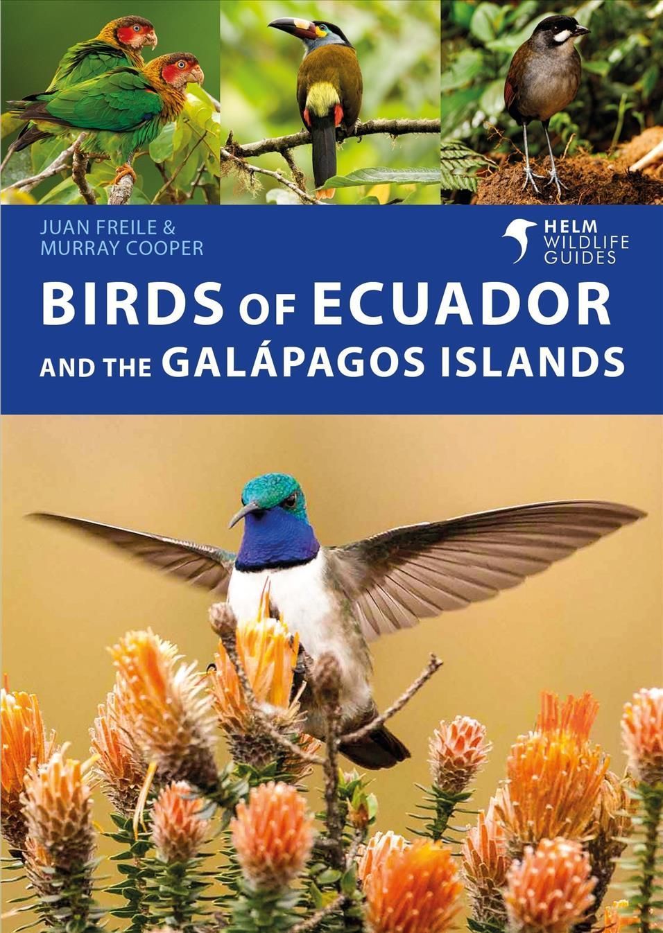 Birds of Ecuador and the Galápagos Islands 9781472993373 (Paperback)