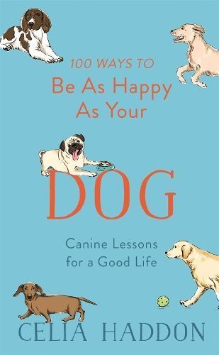100 Ways to Be as Happy as Your Dog By Celia Haddon 9781473689190