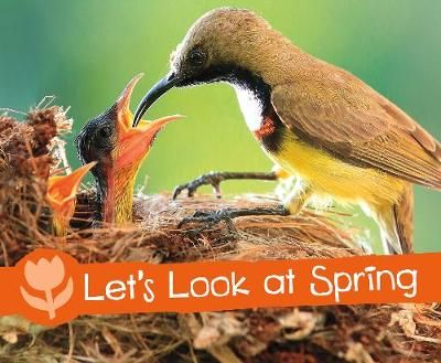 Let's Look at Spring By Sarah L. Schuette 9781474756648 (Paperback)
