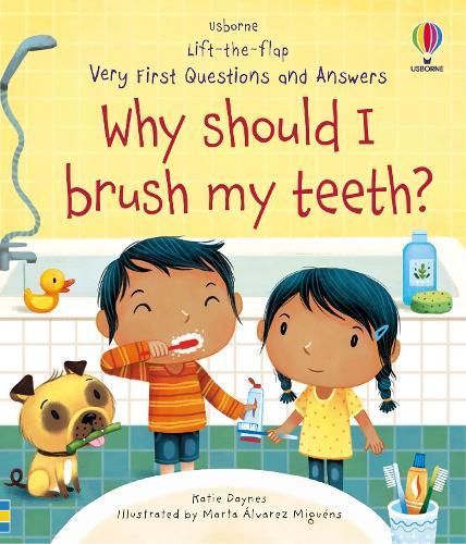 Why Should I Brush My Teeth? 9781474968935 (Board book)