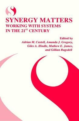 Synergy Matters 9781475771824 (Paperback)