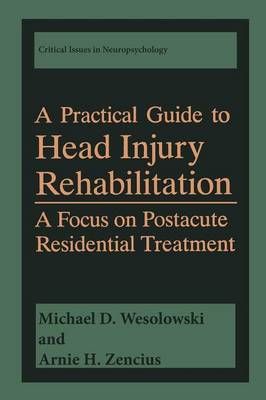 A Practical Guide to Head Injury Rehabilitation 9781475789935