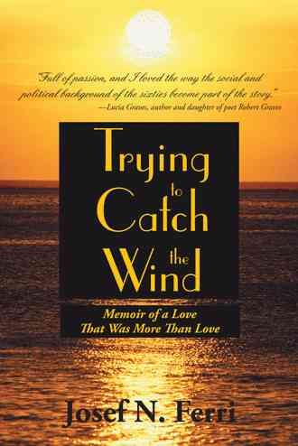Trying to Catch the Wind By Josef N Ferri 9781475969139 (Paperback)