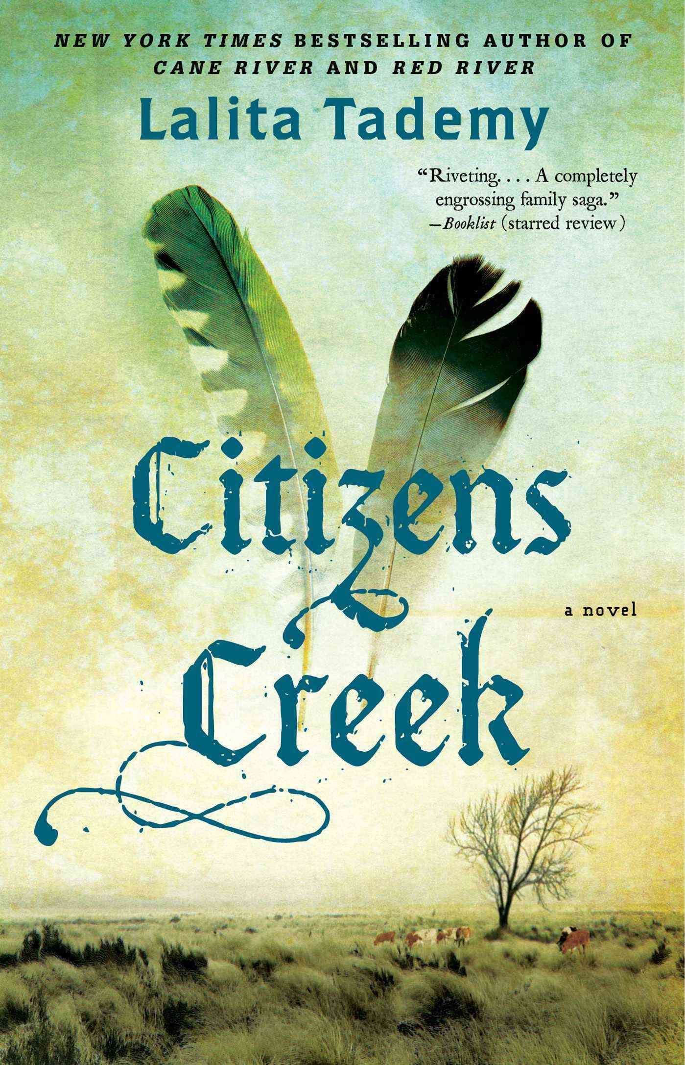 Citizens Creek By Lalita Tademy 9781476753041 (Paperback)