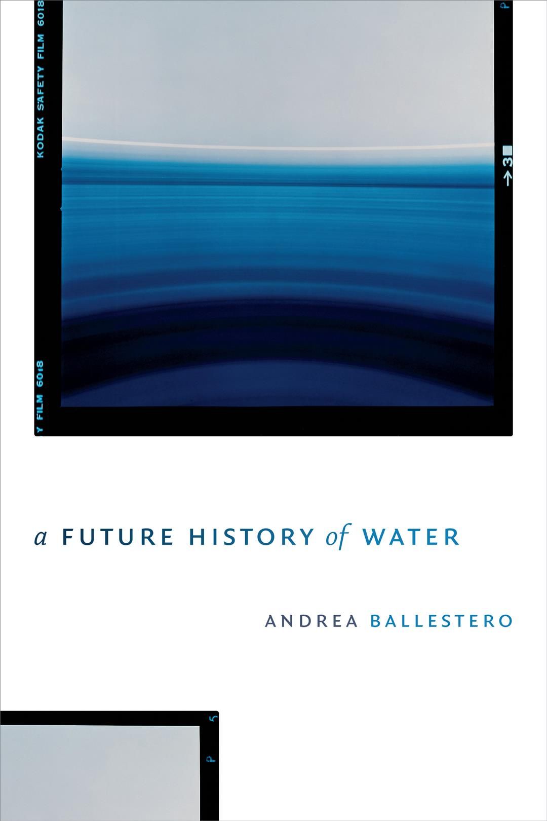 A Future History of Water By Andrea Ballestero 9781478003892