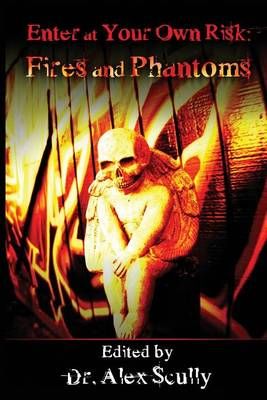 Enter at Your Own Risk By Alex Scully (editor) 9781479228096