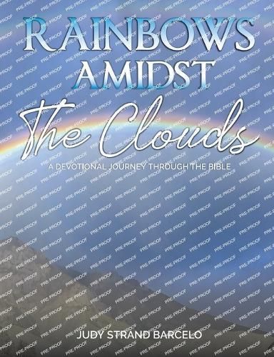 Rainbows Amidst the Clouds By Barcelo 9781479616886 (Paperback)