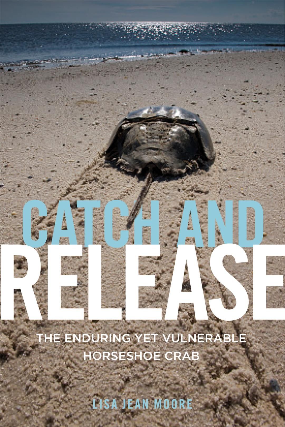 Catch and Release By Lisa Jean Moore 9781479876303 (Hardback)