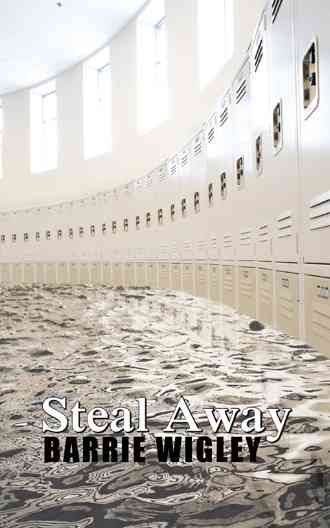 Steal Away By Wigley, Barrie 9781482866797 (Paperback)