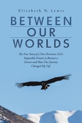 Between Our Worlds By Lewis 9781483482842 (Paperback)