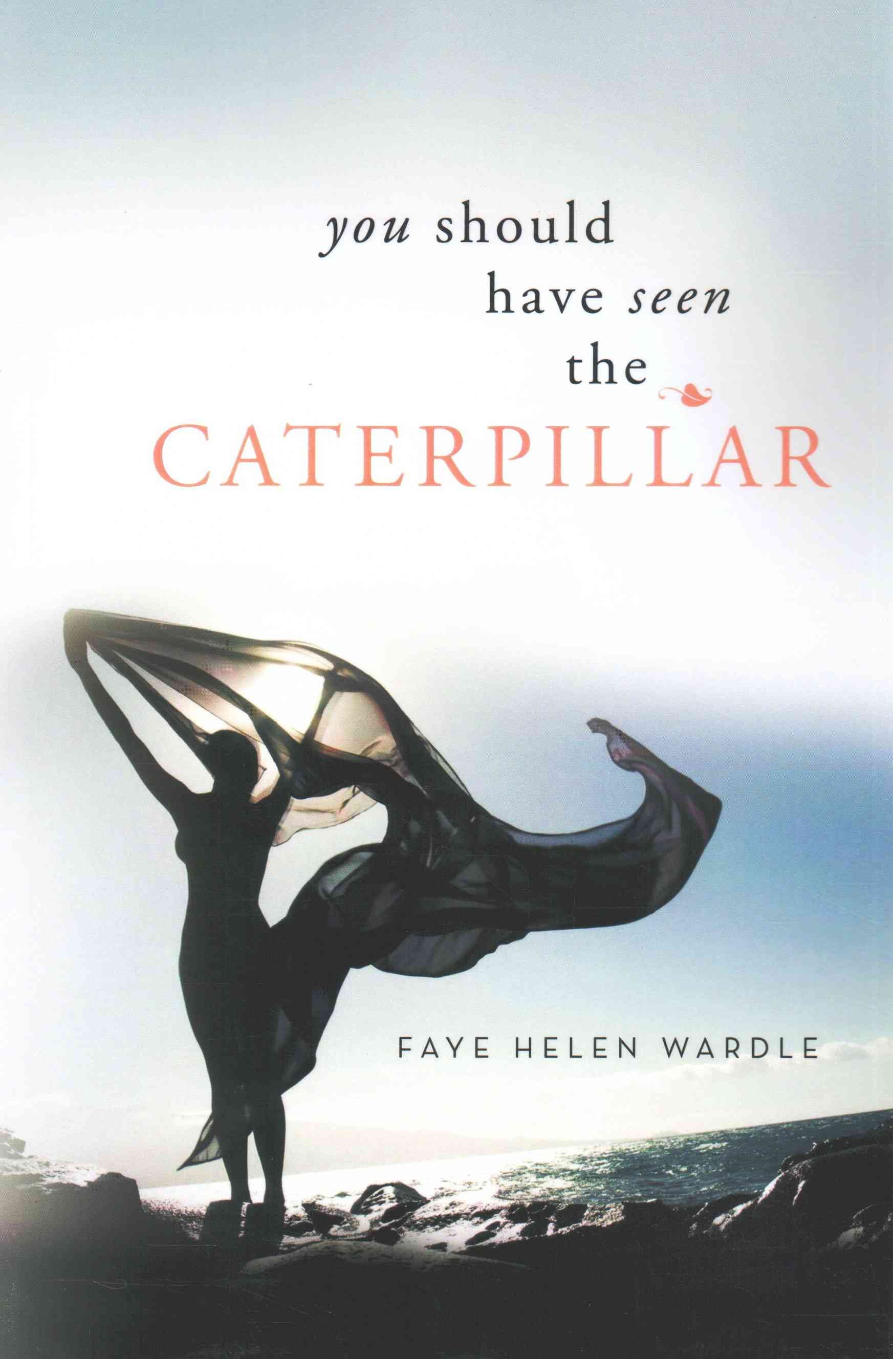 You Should Have Seen the Caterpillar By Faye Helen Wardle (Paperback)