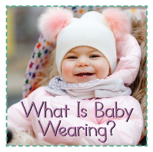 What Is Baby Wearing? By Flowerpot Press (designer) 9781486724116