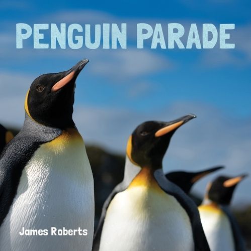 Penguin Parade By James Roberts (photographer) 9781486729135
