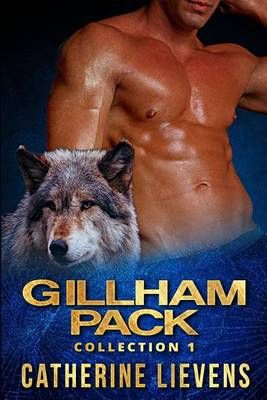 Gillham Pack Collection 1 By Lievens, Catherine 9781487408879