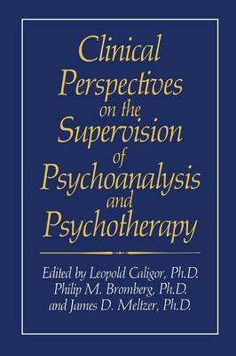 Clinical Perspectives on the Supervision of Psychoanalysis and Psychotherapy