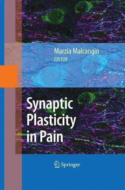 Synaptic Plasticity in Pain By Marzia Malcangio (editor) 9781489983664