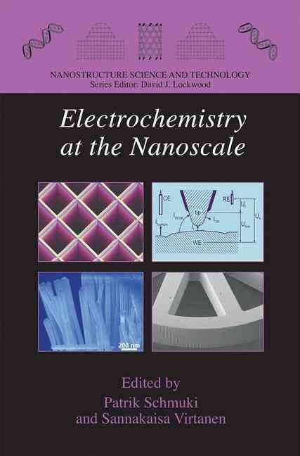 Electrochemistry at the Nanoscale 9781489986603 (Paperback)