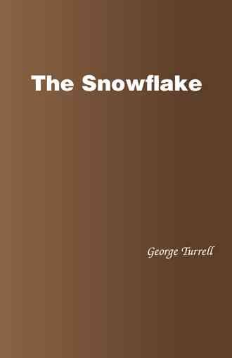 The Snowflake 9781490775722 (Paperback)
