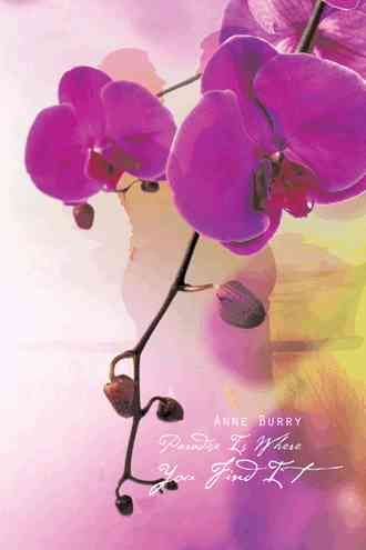 Paradise Is Where You Find It By Burry, Anne 9781491895979 (Paperback)
