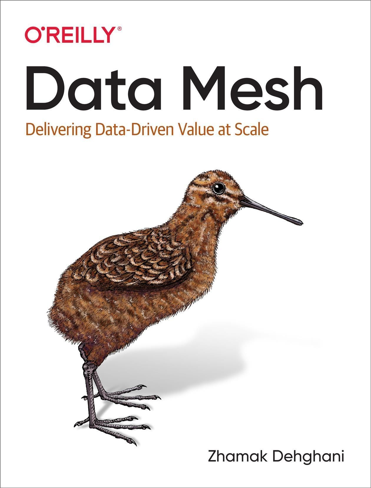 Data Mesh By Zhamak Dehghani 9781492092391 (Paperback)