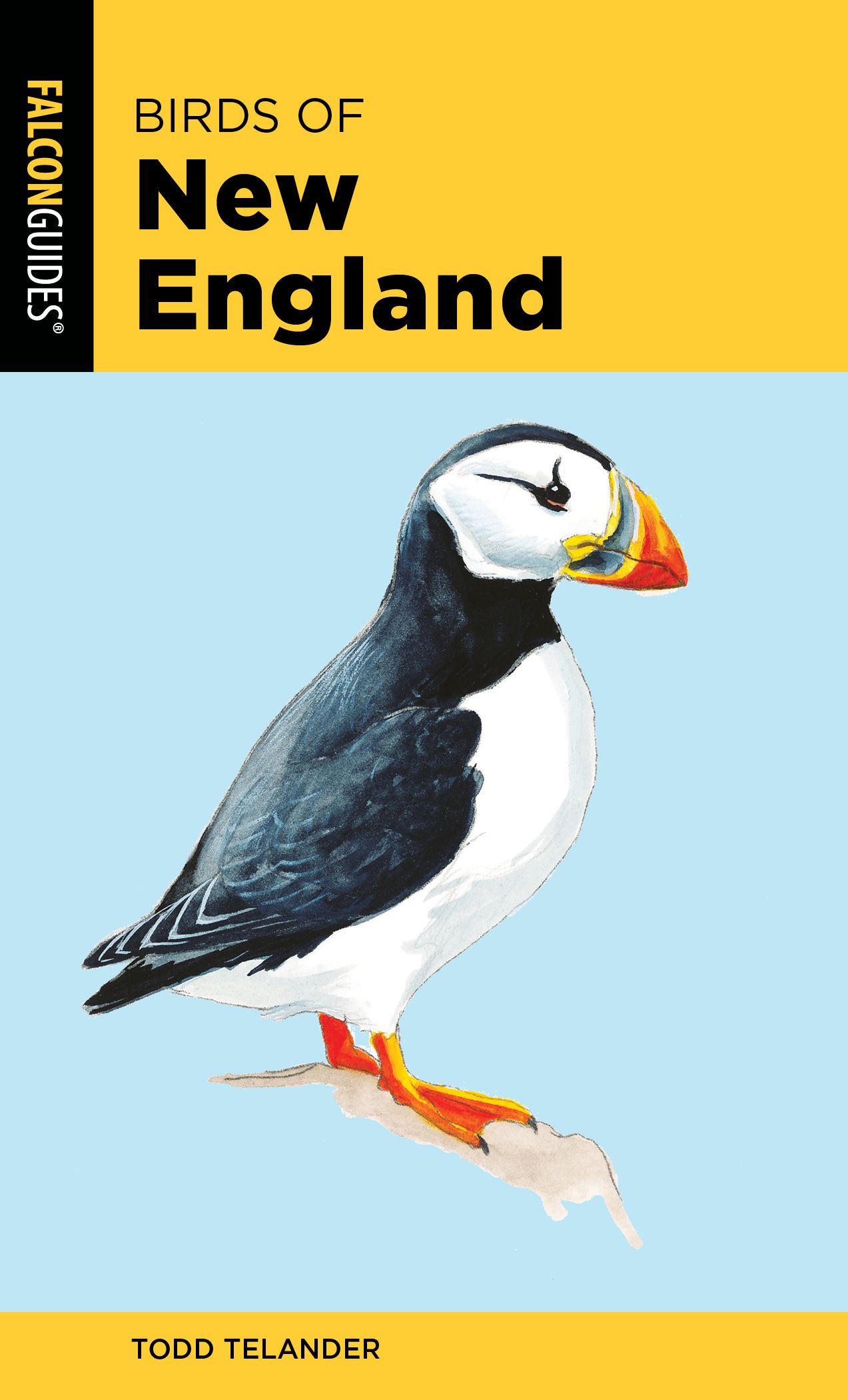 Birds of New England By Todd Telander 9781493051908 (Paperback)