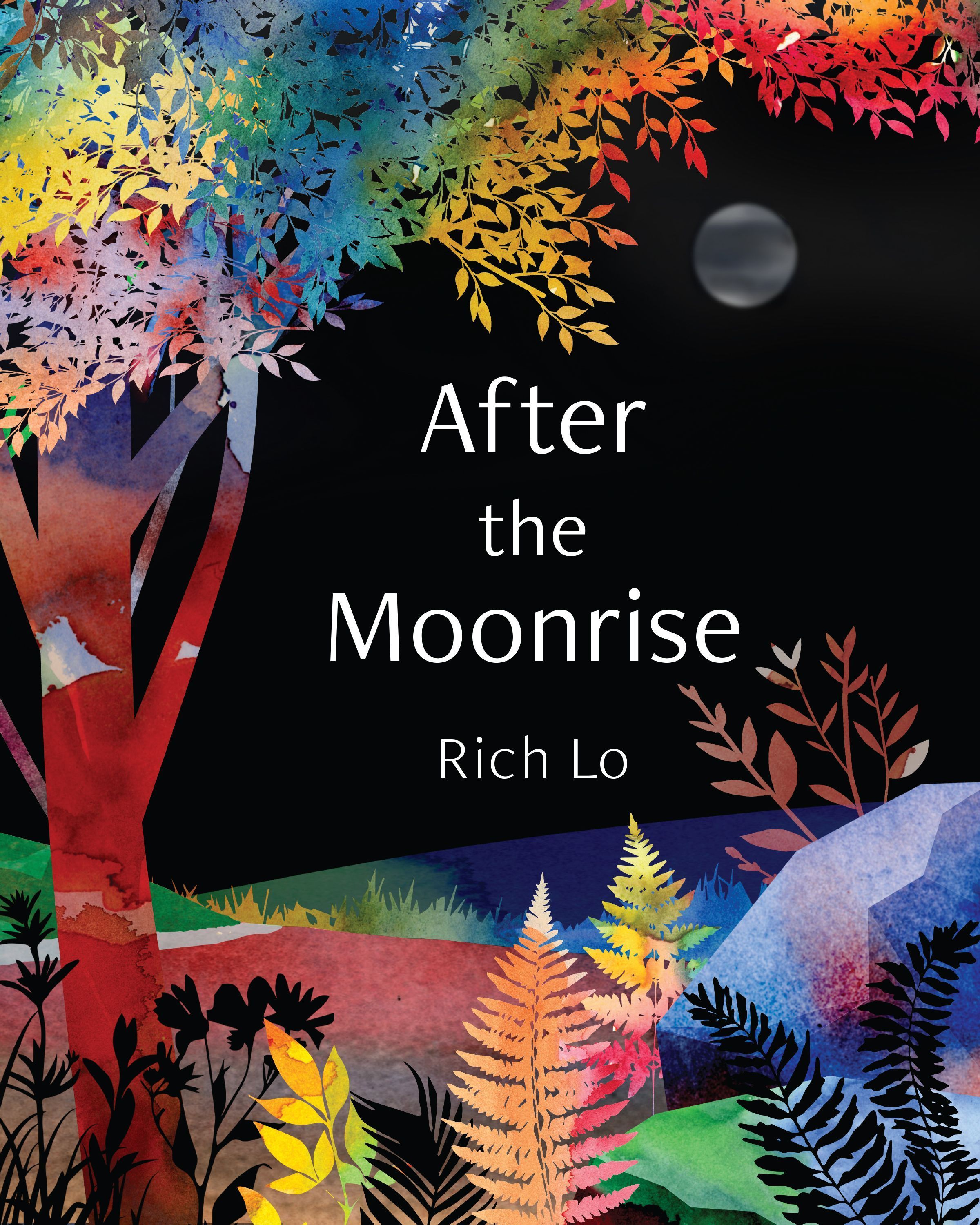 After the Moonrise By Richard Lo 9781493064342 (Hardback)