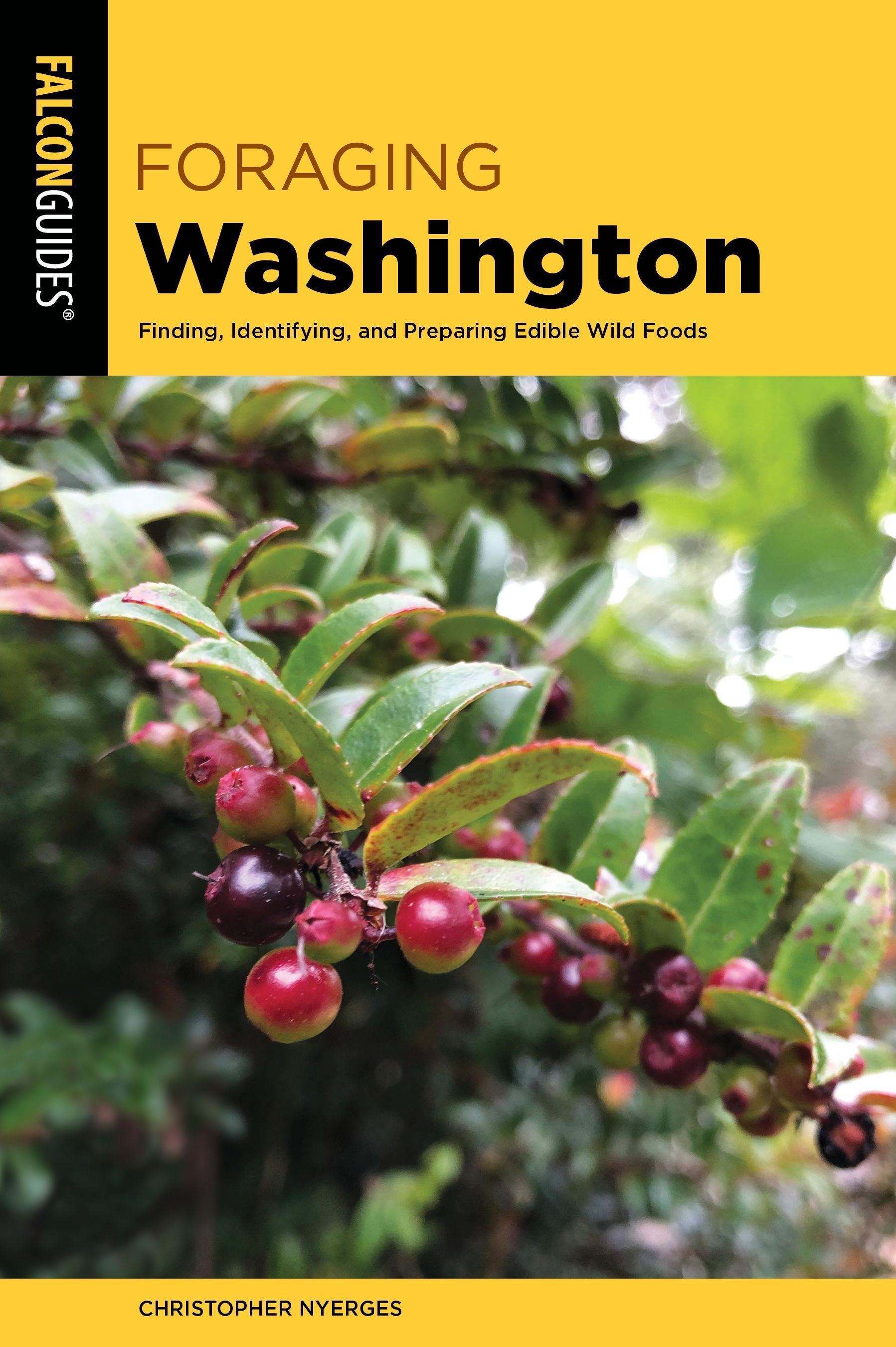 Foraging Washington 9781493067572 (Paperback)