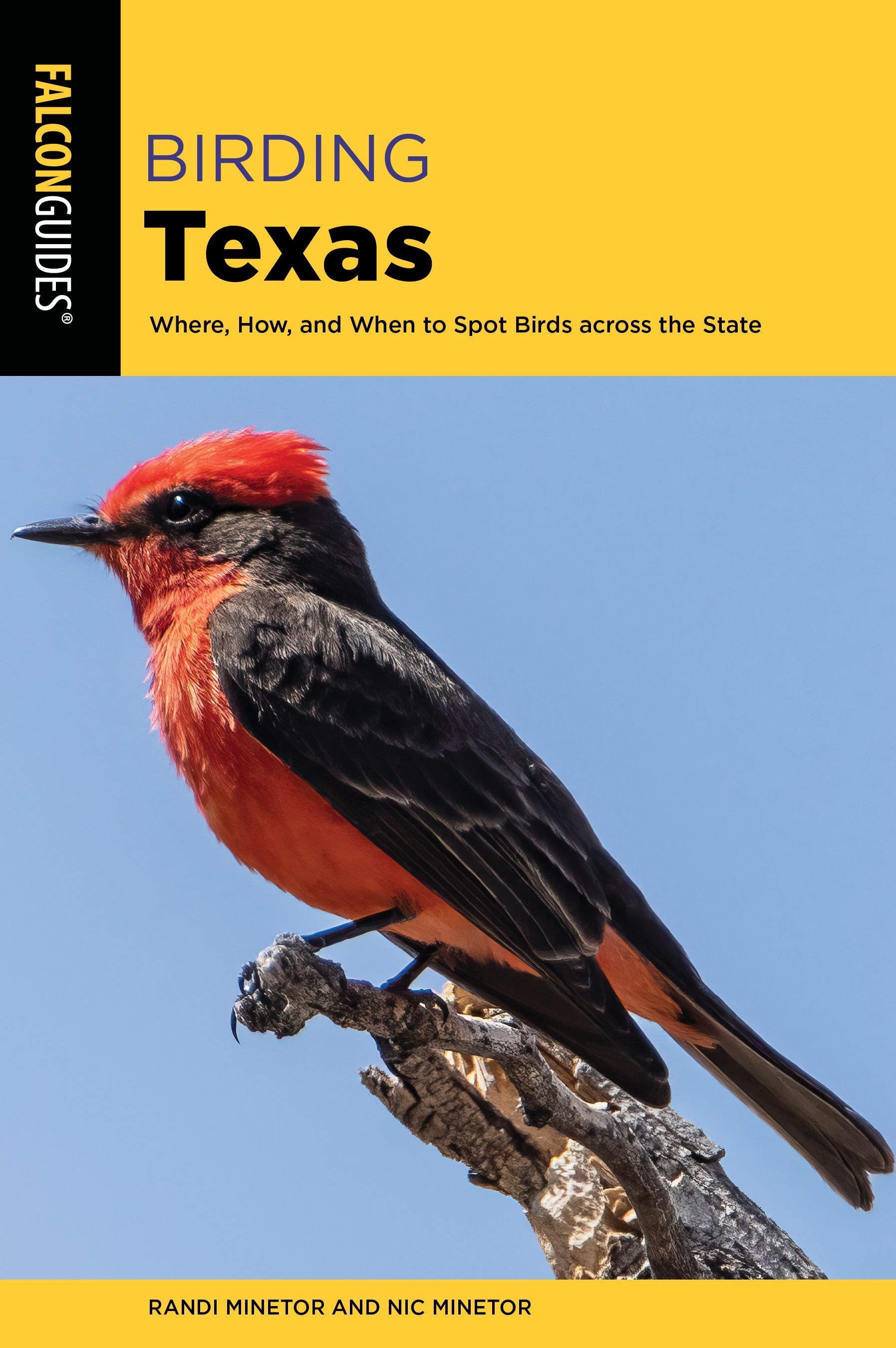 Birding Texas By Randi Minetor 9781493072422 (Paperback)