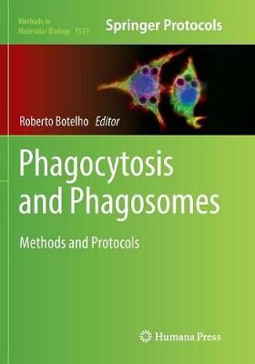 Phagocytosis and Phagosomes By Roberto Botelho (editor) 9781493982417