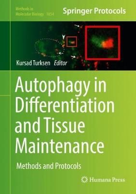 Autophagy in Differentiation and Tissue Maintenance 9781493987474