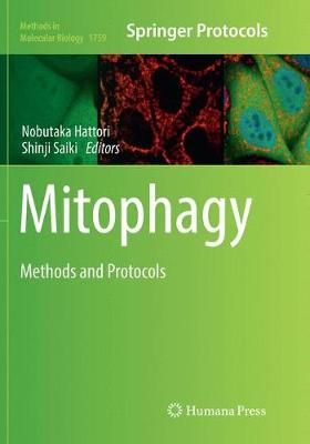 Mitophagy By Nobutaka Hattori 9781493992744 (Paperback)