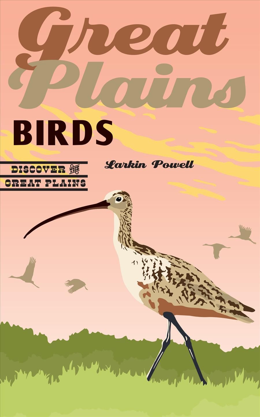 Great Plains Birds By Larkin A. Powell 9781496204189 (Paperback)