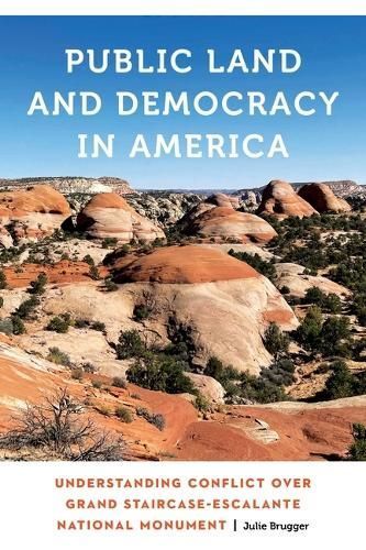 Public Land and Democracy in America By Julie Brugger 9781496233011