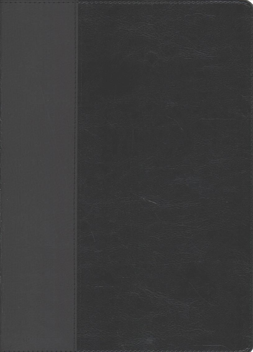 Every Man's Bible NLT, Large Print, TuTone (LeatherLike, Black/Onyx, Indexed)