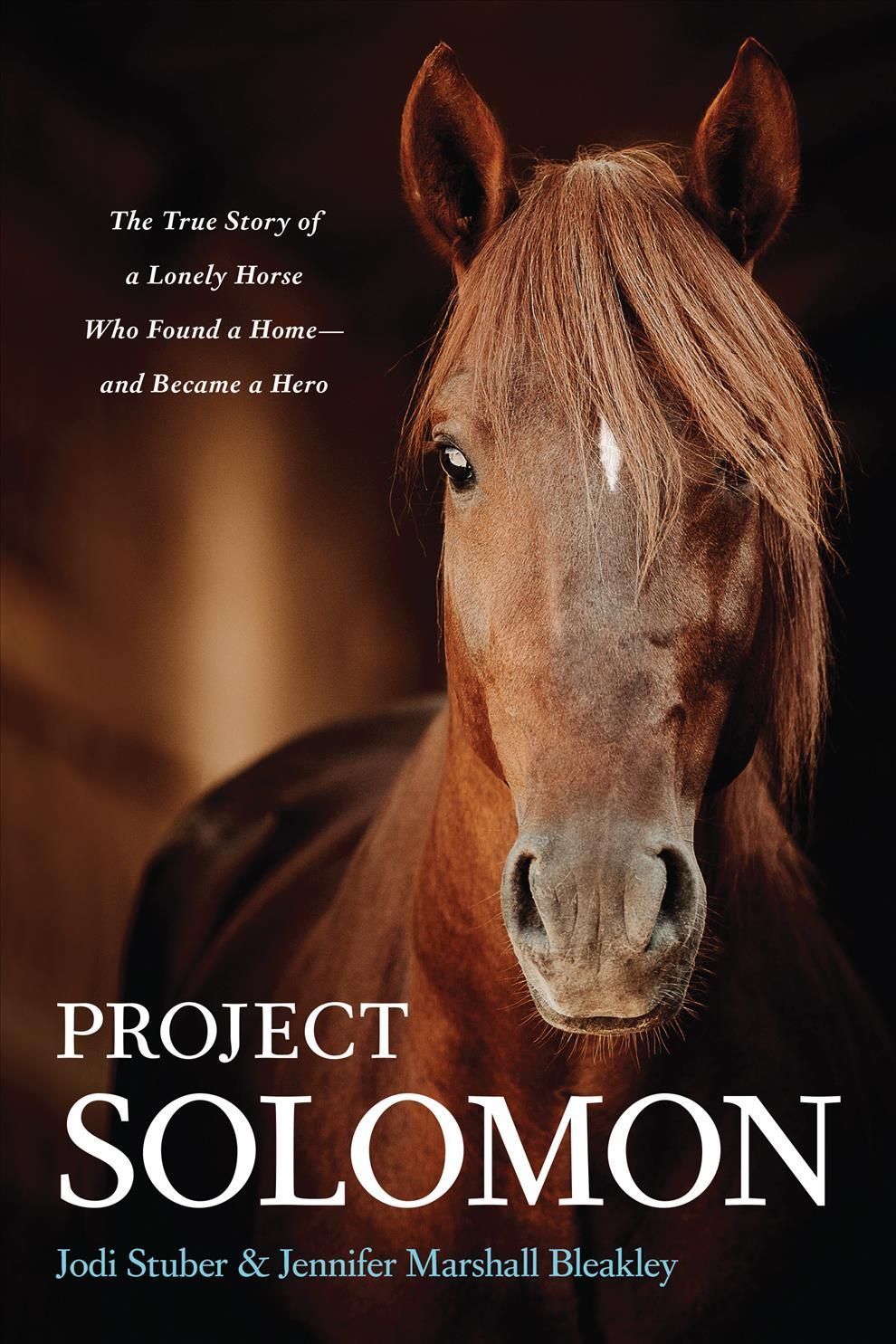 Project Solomon By Jodi Stuber, Jennifer Marshall Bleakley (Paperback)