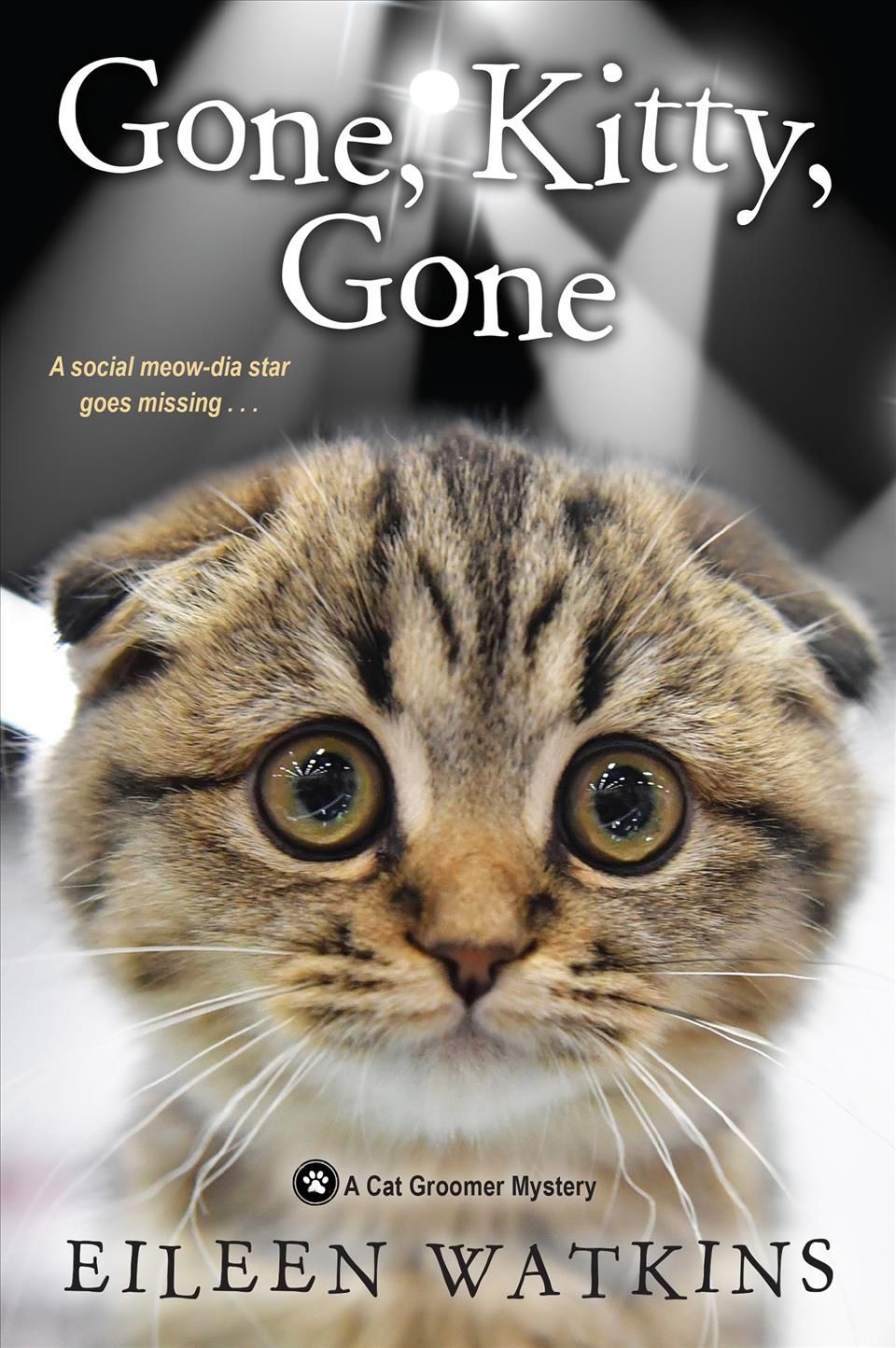 Gone, Kitty, Gone By Eileen Watkins 9781496722973 (Paperback)