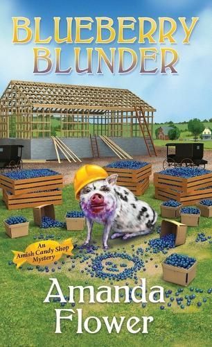 Blueberry Blunder By Amanda Flower 9781496734631 (Paperback)