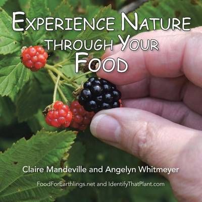 Experience Nature Through Your Food By Claire Mandeville 9781496930224
