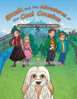 Stash and the Adventures of the Coal Cousins 9781496934918 (Paperback)